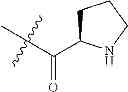 Fig. 646 - Protein-polymer-drug conjugates