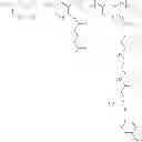 Fig. 75 - Protein-polymer-drug conjugates