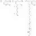 Fig. 77 - Protein-polymer-drug conjugates