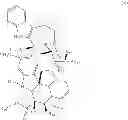 Fig. 83 - Protein-polymer-drug conjugates