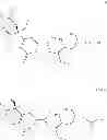 Fig. 89 - Protein-polymer-drug conjugates