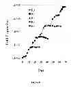 Fig. 07 - Methods to Expand a T Regulatory Cell Master Cell Bank
