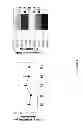 Fig. 08 - Methods to Expand a T Regulatory Cell Master Cell Bank
