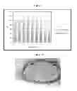 Fig. 02 - Degradation resistant HSP70 formulations and uses thereof