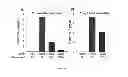 Fig. 07 - METHODS OF USING THROMBIN PEPTIDE DERIVATIVES