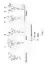 Fig. 03 - Extended Soluble PH20 Polypeptides and uses thereof