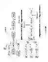 Fig. 04 - Extended Soluble PH20 Polypeptides and uses thereof
