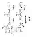 Fig. 07 - Extended Soluble PH20 Polypeptides and uses thereof