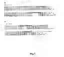 Fig. 02 - Humanized antibodies against human interferon-alpha