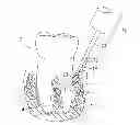 Fig. 01 - Periodontal regeneration composition and method of using same