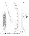 Fig. 02 - METHODS AND COMPOSITIONS FOR MITIGATING PROCTITIS