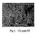 Fig. 02 - Method of Producing Microparticles