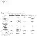 Fig. 02 - ANGIOGENESIS INHIBITORS
