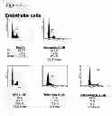 Fig. 04 - ANGIOGENESIS INHIBITORS