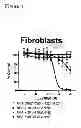 Fig. 06 - ANGIOGENESIS INHIBITORS