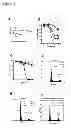 Fig. 07 - ANGIOGENESIS INHIBITORS