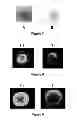 Fig. 07 - SELF-ASSEMBLING HALF-ANTIBODIES