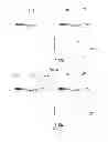 Fig. 08 - SELF-ASSEMBLING HALF-ANTIBODIES