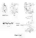 Fig. 02 - Nanoconjugates and nanoconjugate formulations
