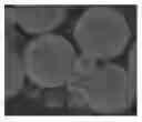 Fig. 01 - Compositions and their use in bone healing