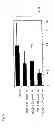 Fig. 06 - CHOLESTANOL DERIVATIVE FOR COMBINED USE