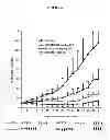Fig. 07 - HERBAL COMPOSITION PHY906 AND ITS USE IN CHEMOTHERAPY