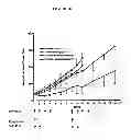 Fig. 43 - HERBAL COMPOSITION PHY906 AND ITS USE IN CHEMOTHERAPY