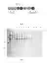 Fig. 02 - Rehydratable food
