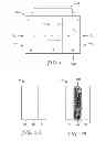 Fig. 02 - Reinforced electrolyte membrane