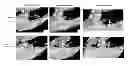 Fig. 01 - Method For Restoring Alveolar Bone Via Transplant of a Regenerated Tooth Unit