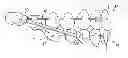 Fig. 01 - ORTHODONTIC DEVICE AND METHOD FOR TREATING MALOCCLUSIONS