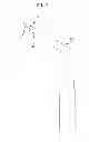 Fig. 06 - ULTRASONIC DENTAL TIP FOR REMOVING A POST
