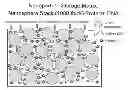 Fig. 01 - PARTICLE MATRIX FOR STORAGE OF BIOMOLECULES