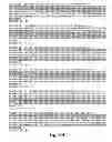 Fig. 07 - METHODS FOR THE DETECTION OF JC POLYOMA VIRUS