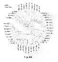 Fig. 12 - METHODS FOR THE DETECTION OF JC POLYOMA VIRUS