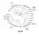 Fig. 13 - METHODS FOR THE DETECTION OF JC POLYOMA VIRUS