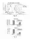 Fig. 22 - METHODS FOR THE DETECTION OF JC POLYOMA VIRUS