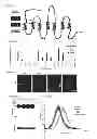 Fig. 03 - COMPOSITIONS AND METHODS FOR CHARACTERIZING AND REGULATING OLFACTORY SENSATION