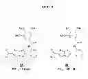 Fig. 12 - SIRTUIN ACTIVATORS AND ACTIVATION ASSAYS
