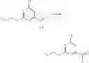 Fig. 25 - SIRTUIN ACTIVATORS AND ACTIVATION ASSAYS