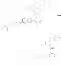Fig. 31 - SIRTUIN ACTIVATORS AND ACTIVATION ASSAYS