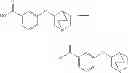 Fig. 35 - SIRTUIN ACTIVATORS AND ACTIVATION ASSAYS