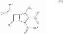Fig. 15 - Fluorescent carbapenems
