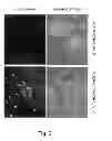 Fig. 03 - Multi Plasmid System For The Production Of Influenza Virus