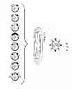Fig. 05 - Multi Plasmid System For The Production Of Influenza Virus