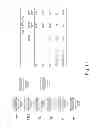Fig. 44 - Multi Plasmid System For The Production Of Influenza Virus