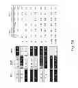 Fig. 47 - Multi Plasmid System For The Production Of Influenza Virus