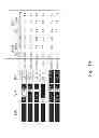Fig. 48 - Multi Plasmid System For The Production Of Influenza Virus