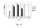 Fig. 50 - Multi Plasmid System For The Production Of Influenza Virus