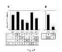 Fig. 55 - Multi Plasmid System For The Production Of Influenza Virus